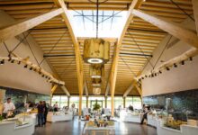 Commercial Rooflights Online Modern Designs for Every Business