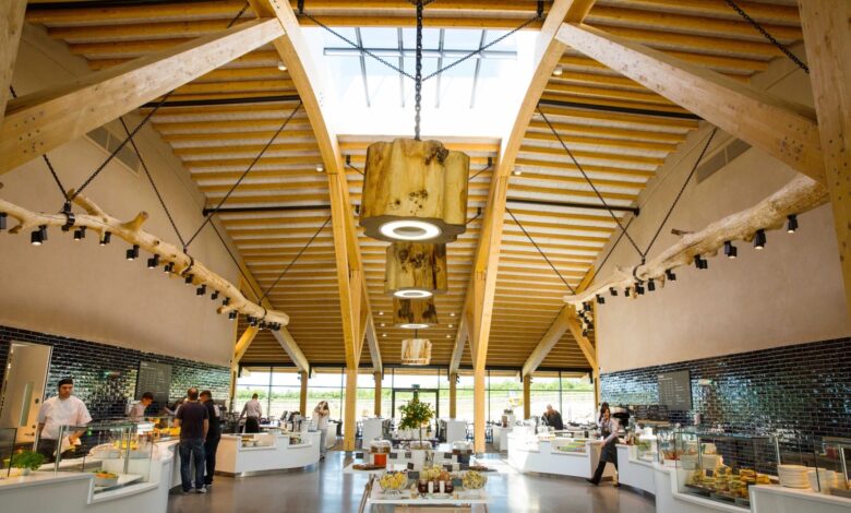 Commercial Rooflights Online Modern Designs for Every Business