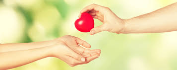 Why Should Your Organization Invest in a Visually Appealing Donor Recognition System?